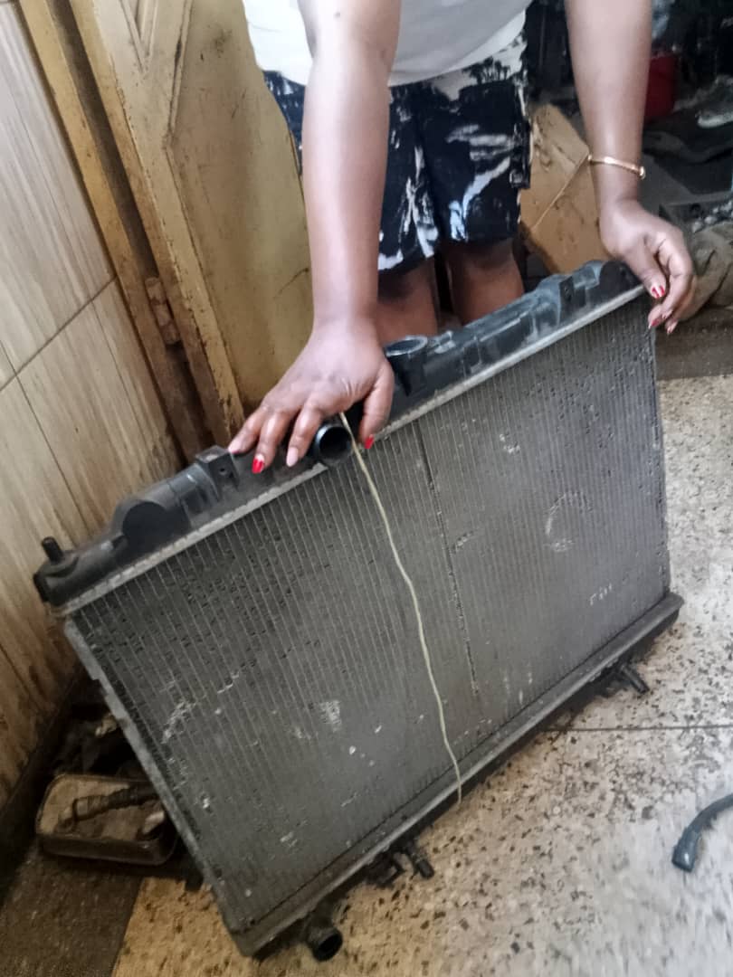 Cooling System Service